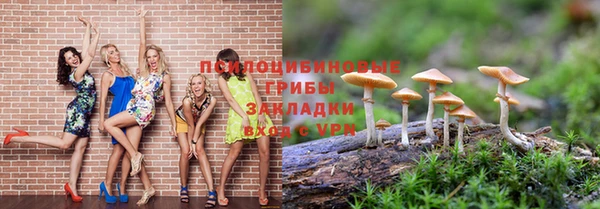 apvp Арсеньев