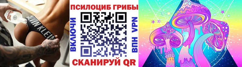 OMG ТОР Пласт Галлюциногенные грибы ЛСД цены наркотик